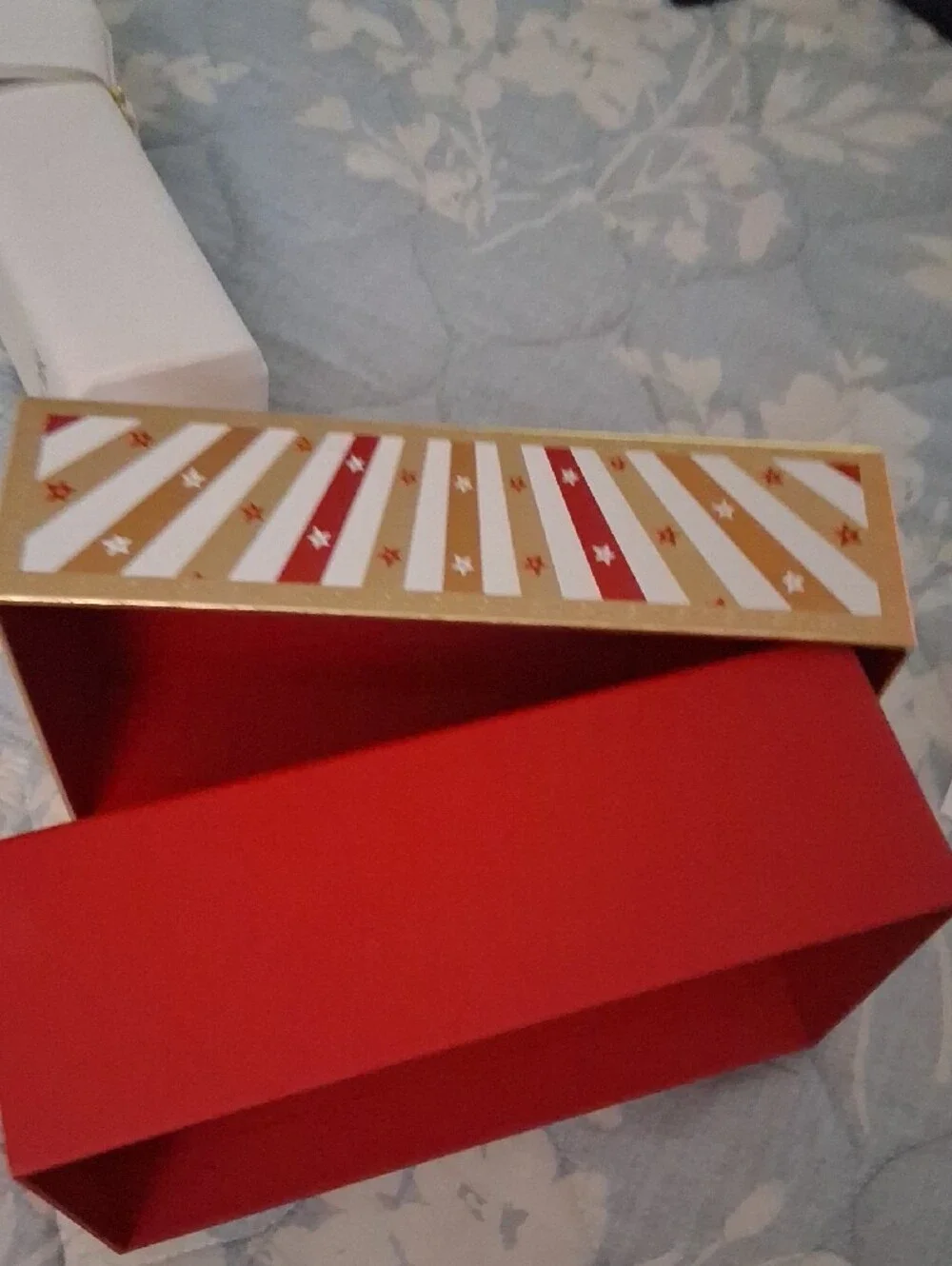 Dior Makeup Brush CASE and Box